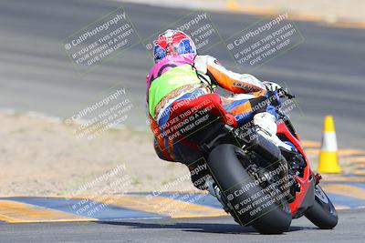 media/Mar-10-2024-SoCal Trackdays (Sun) [[6228d7c590]]/9-Turn 8 Backside (1150am)/